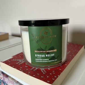 Eucalyptus and Spearmint Bath and Body Works Three Wick